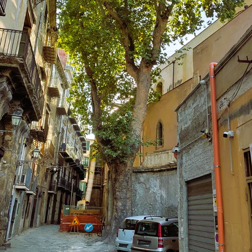 © dipl. ing. renner consulting gmbh 25012