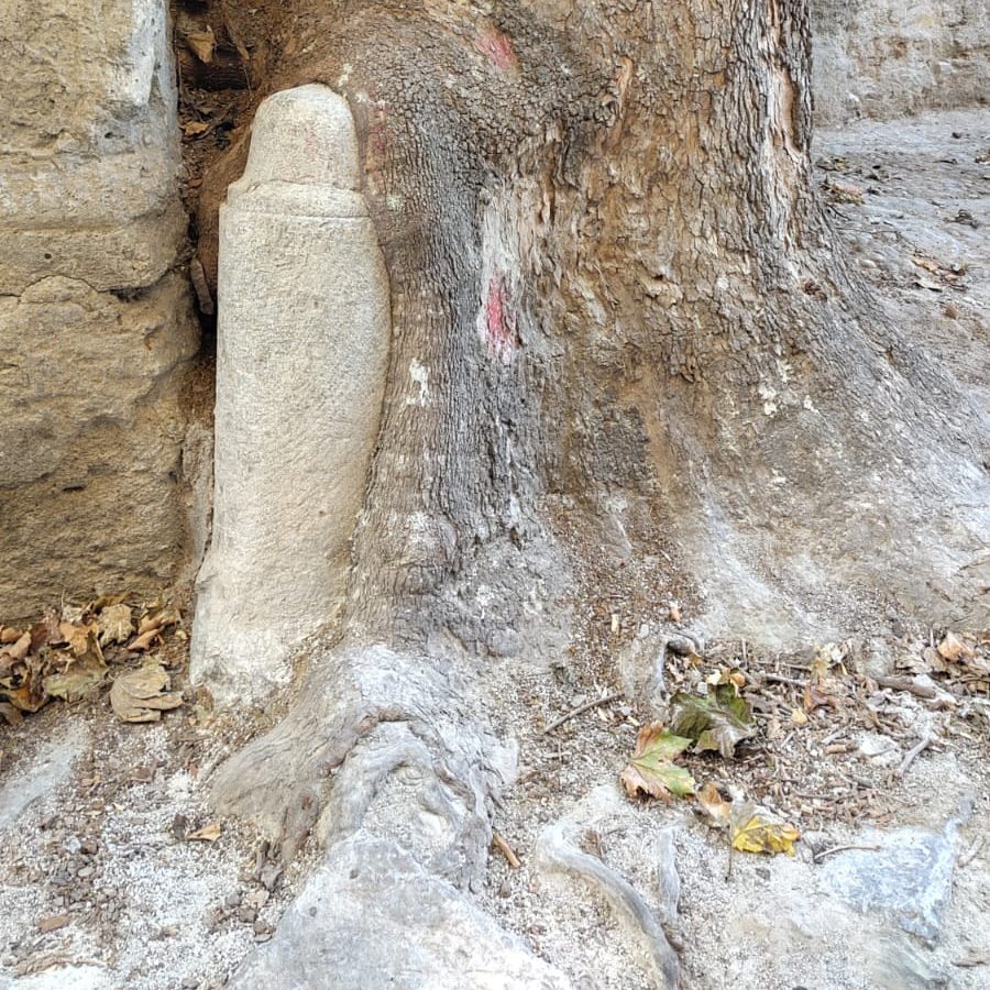 © dipl. ing. renner consulting gmbh 25013